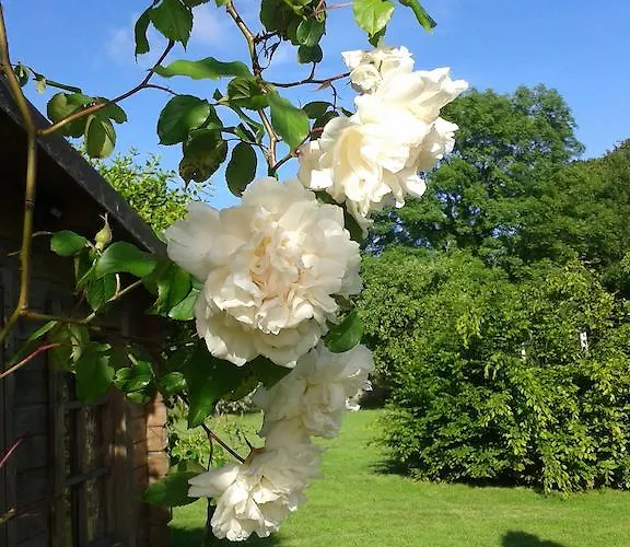 Bed & Breakfast Ailleurs Sous Les Etoiles
