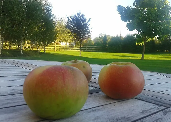 Bed & Breakfast Ailleurs Sous Les Etoiles