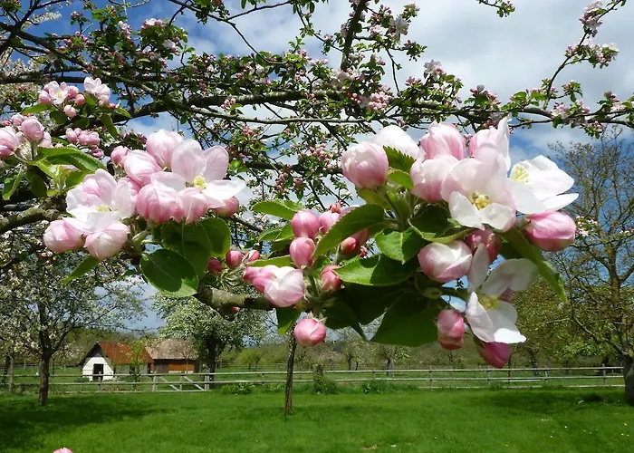 Ailleurs Sous Les Etoiles Manneville-la-Raoult