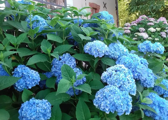 Bed & Breakfast Ailleurs Sous Les Etoiles