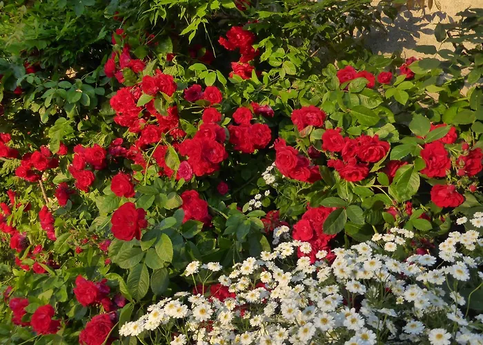 Bed & Breakfast Ailleurs Sous Les Etoiles Manneville-la-Raoult