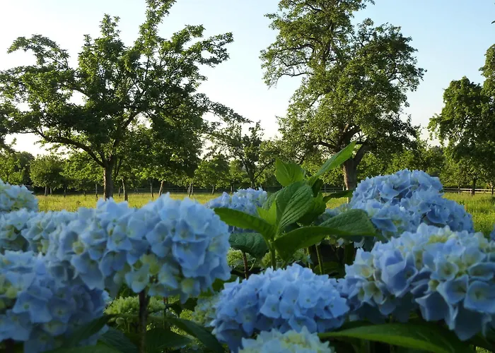 Ailleurs Sous Les Etoiles Bed & Breakfast *