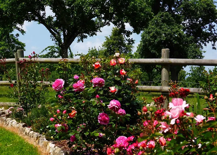 Ailleurs Sous Les Etoiles Manneville-la-Raoult